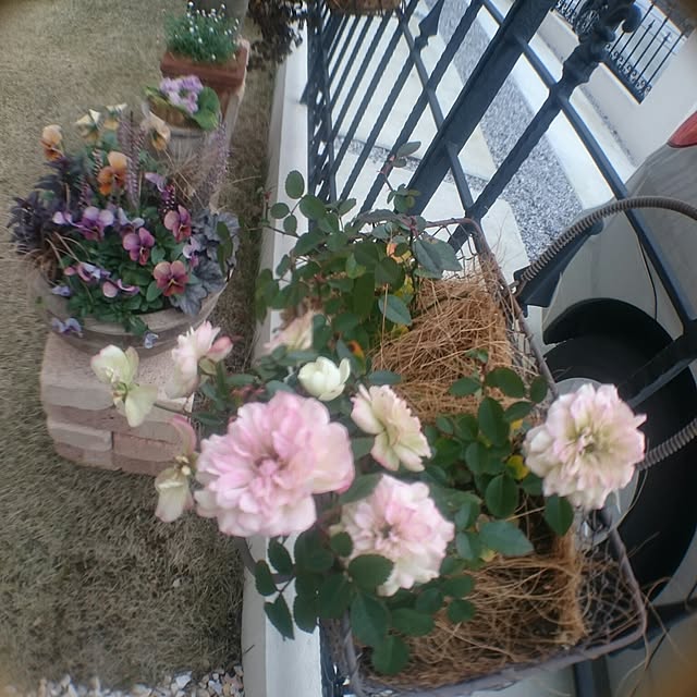 whitebirdさんの実例写真