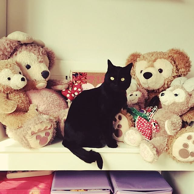 liberteさんの実例写真