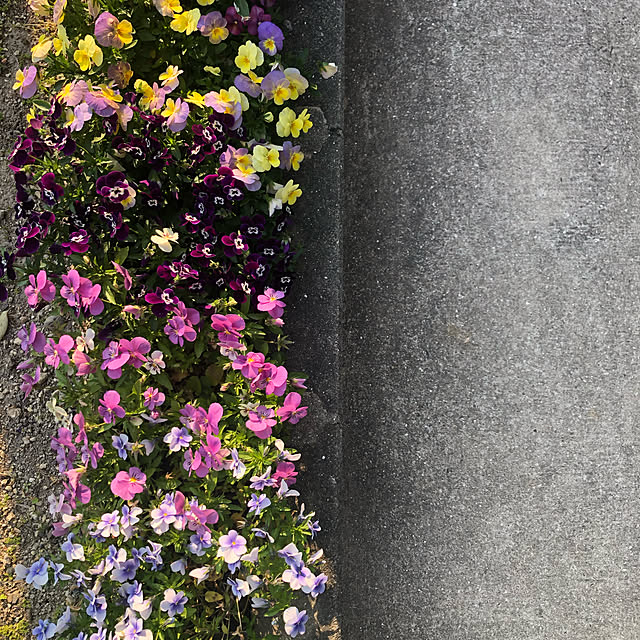 mutsuさんの実例写真