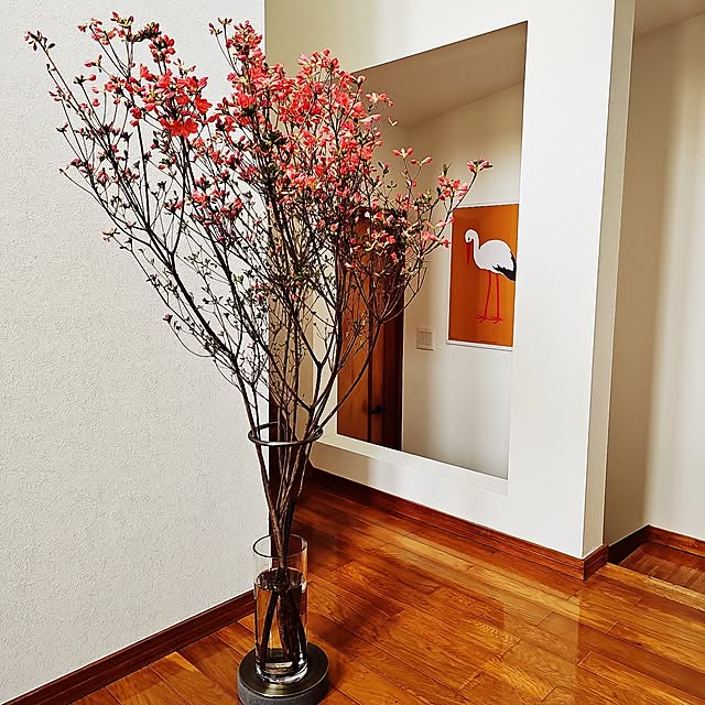 Tokainakaさんの実例写真