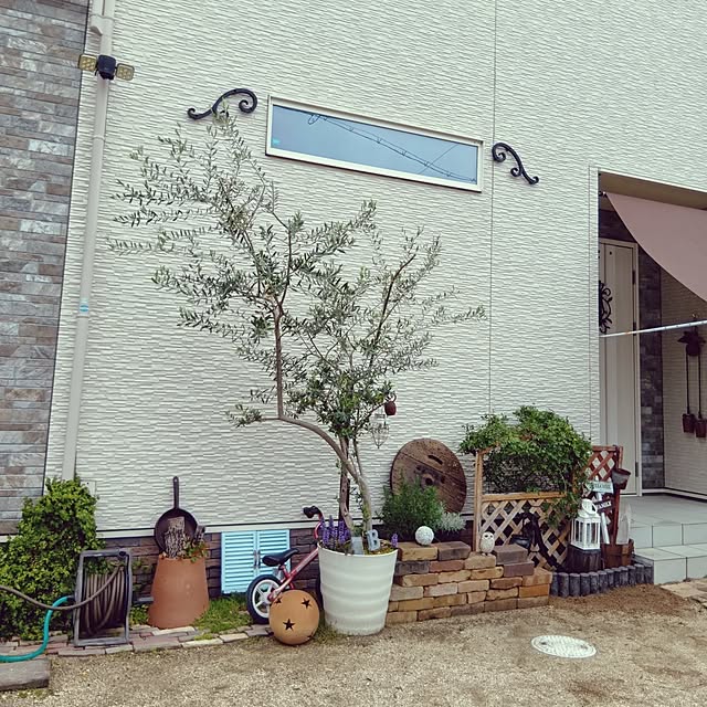 H+M+S...HappyLife...さんの部屋