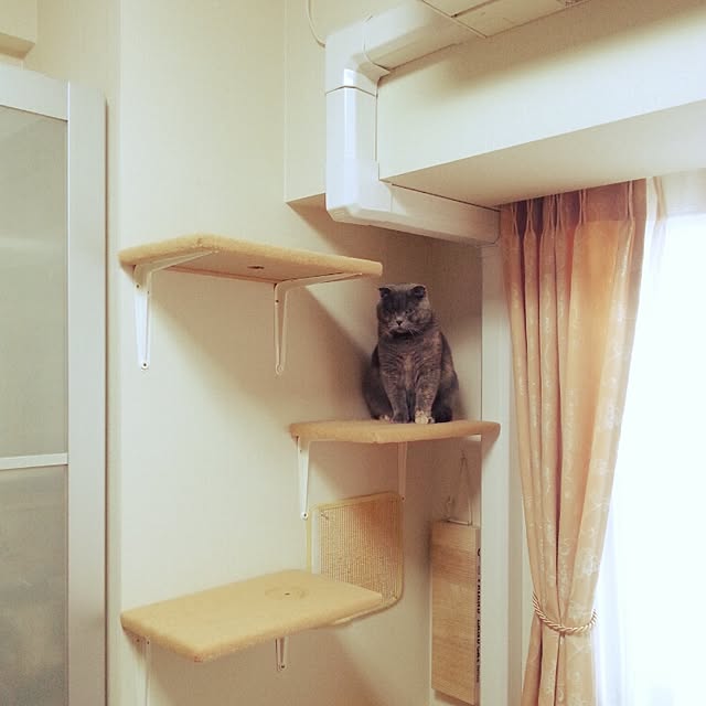 daiさんの実例写真