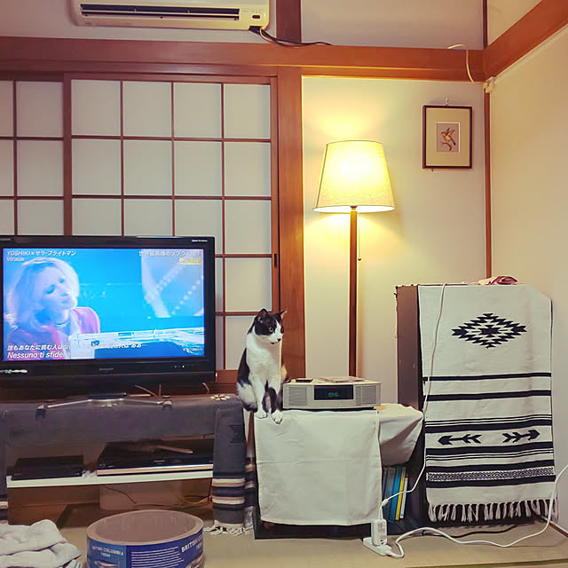 oseroさんの実例写真
