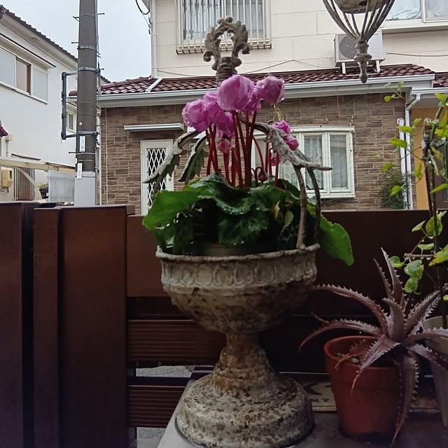 tomomiさんの部屋