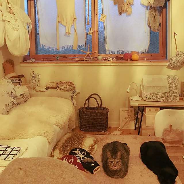 neko-2.2.2runmuさんの実例写真