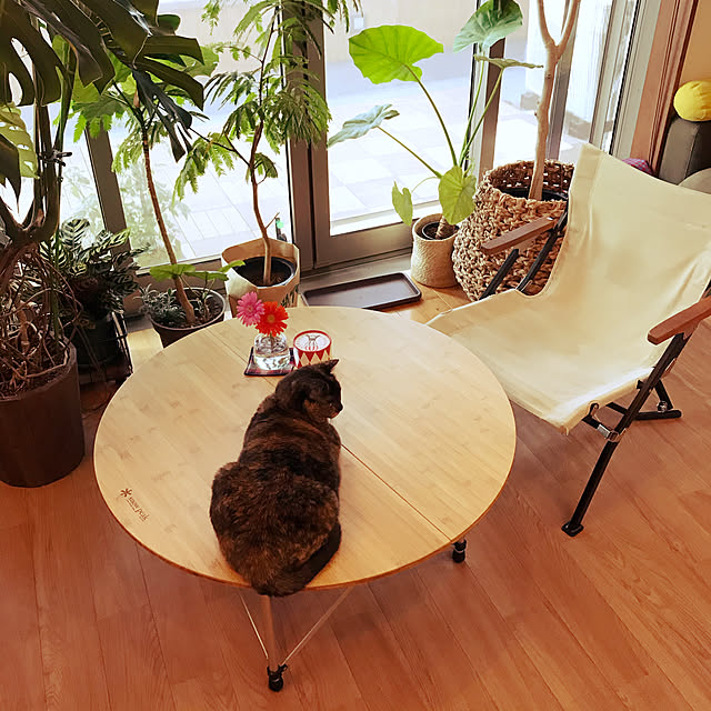 noraさんの実例写真