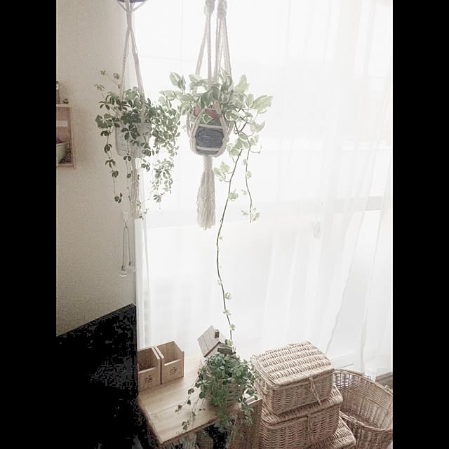 masaさんの実例写真