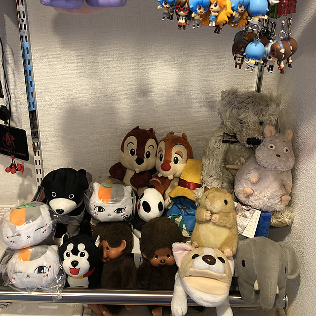 kyoutamaさんの実例写真