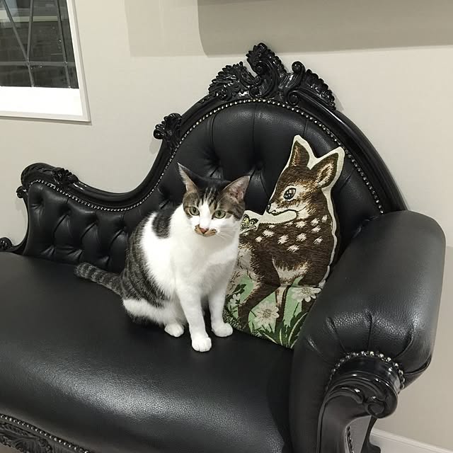 yuchiさんの実例写真