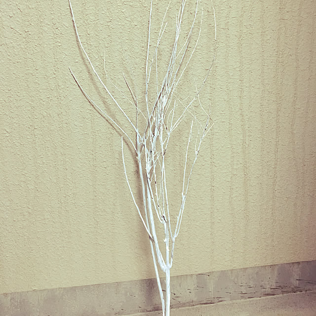 yossiiさんの実例写真