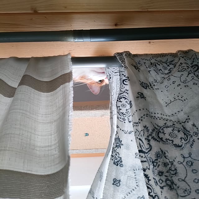 mori_6_12さんの部屋
