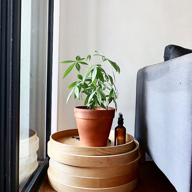 peabeさんの部屋