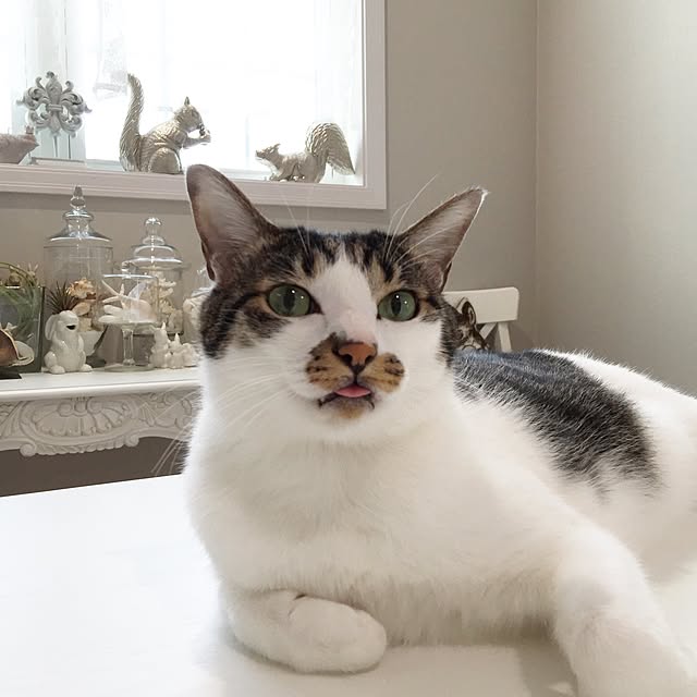 yuchiさんの実例写真