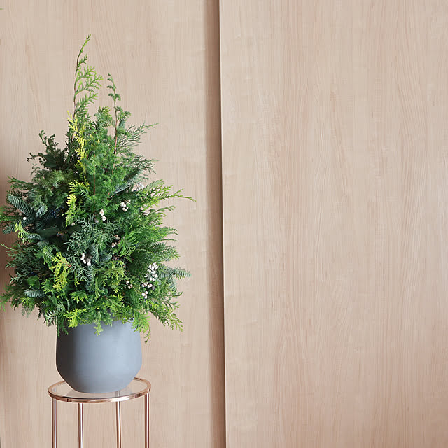 Summerさんの実例写真