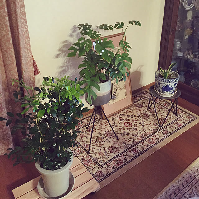 songloverさんの実例写真