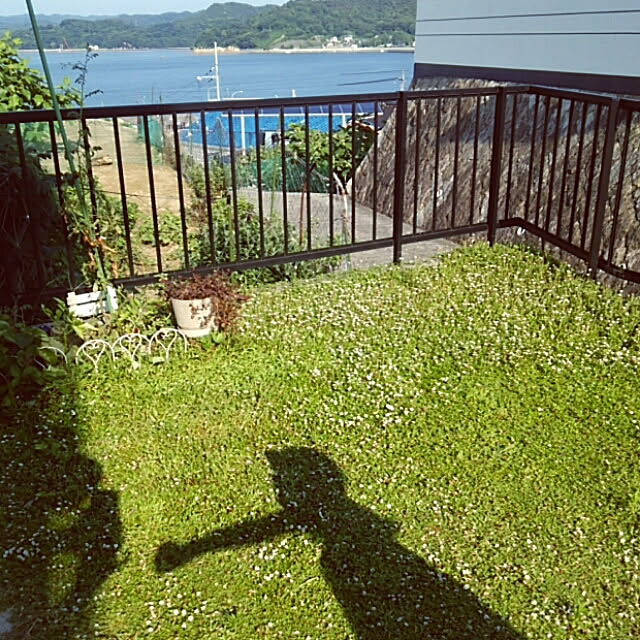 miiさんの実例写真