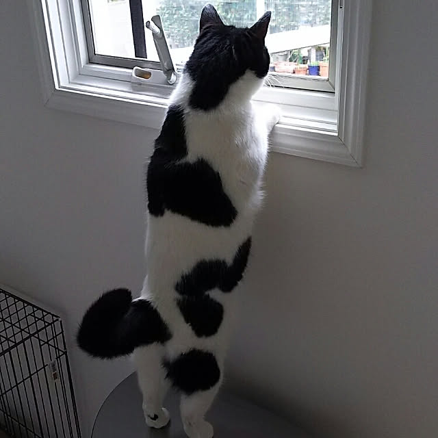 ohagiさんの実例写真