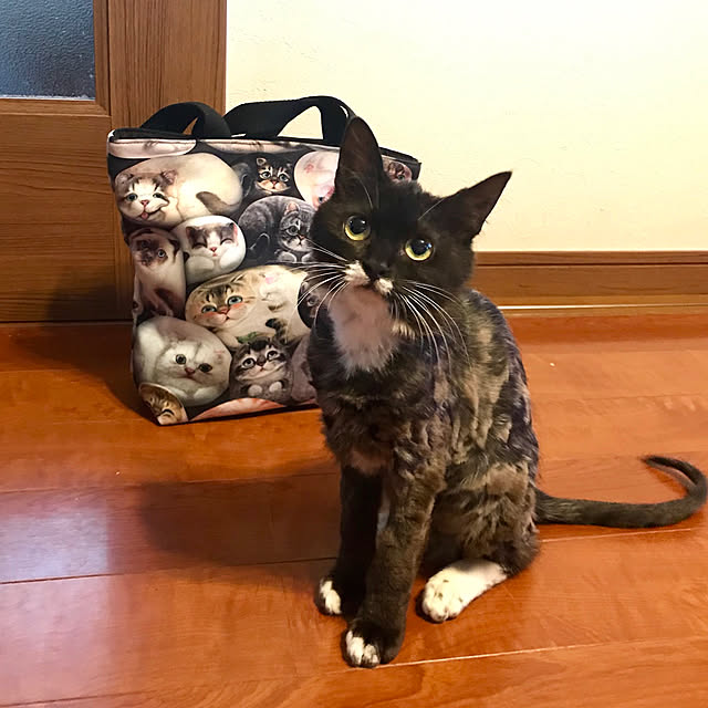 butachanさんの実例写真