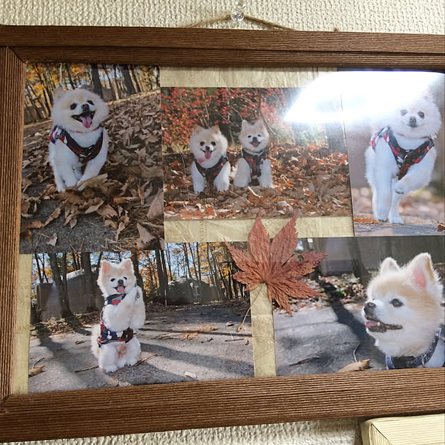 yamasanさんの実例写真