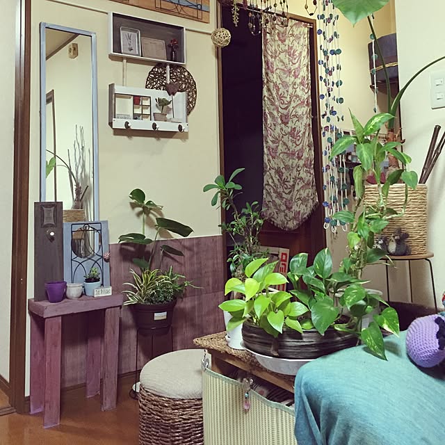 Norikoさんの実例写真