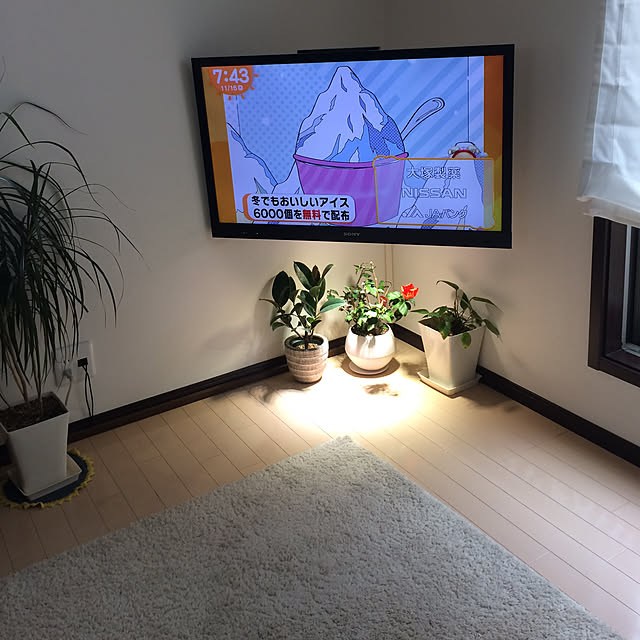 mac.bonbonさんの実例写真