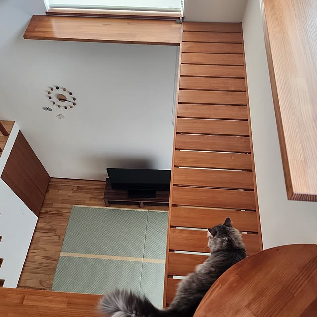 kossyさんの実例写真