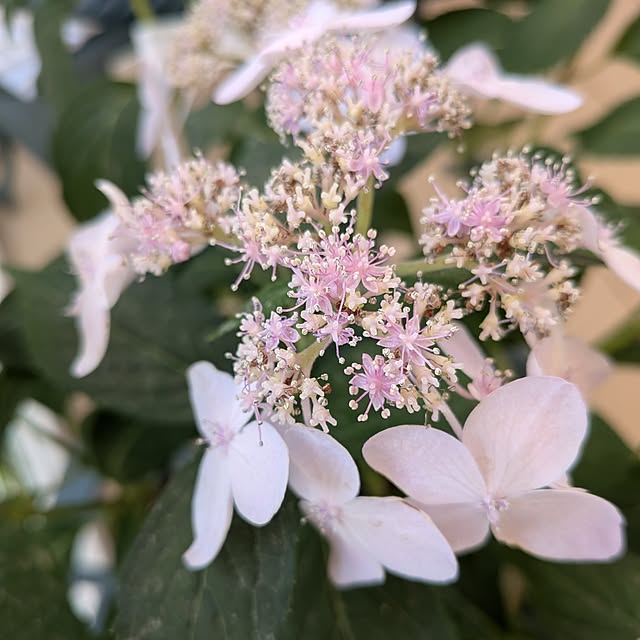 Bienvenueさんの実例写真