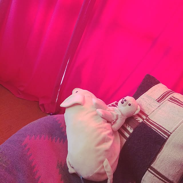 hen333さんの実例写真