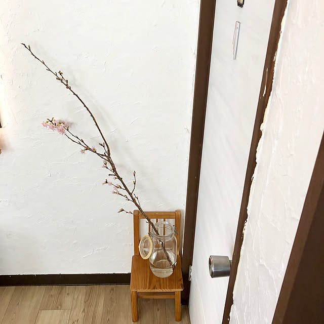 hana-iku-rinさんの実例写真