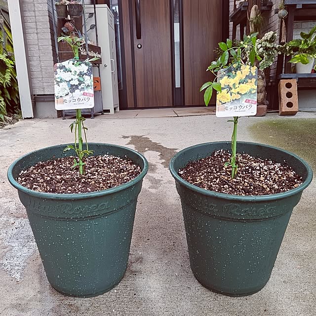 mocomocoさんの実例写真