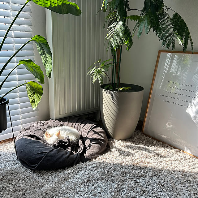 mmm.さんの実例写真