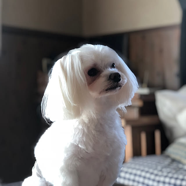 pino1227さんの実例写真