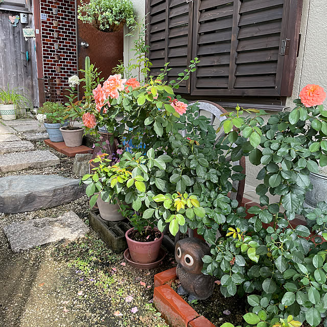 shin0719さんの部屋