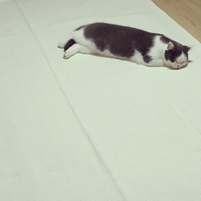 yunさんの実例写真