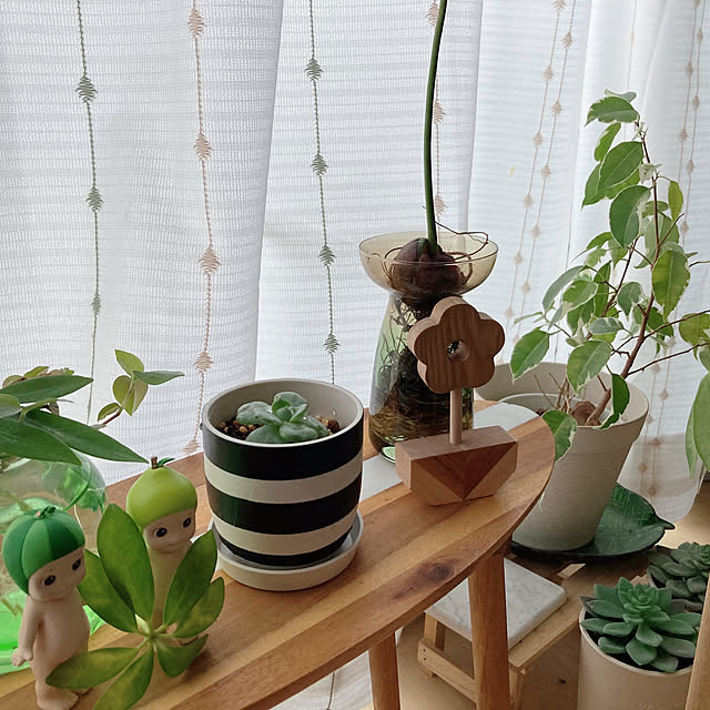 aiaiさんの部屋
