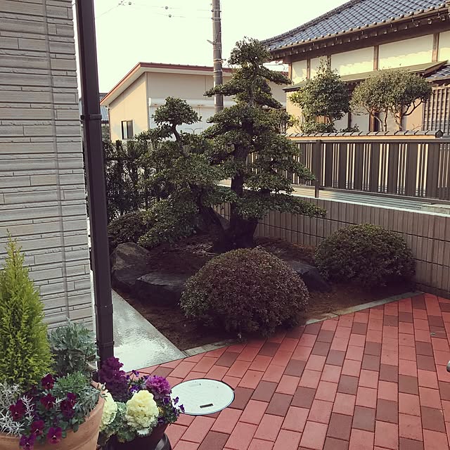 Y-YMRさんの実例写真