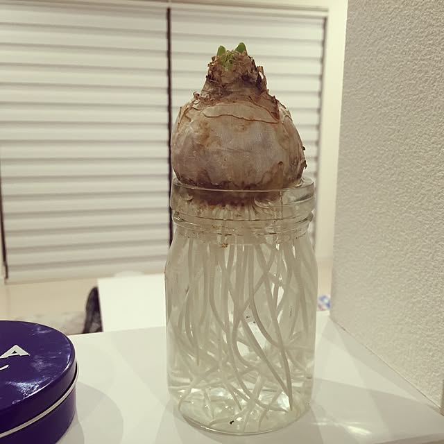haruさんの実例写真