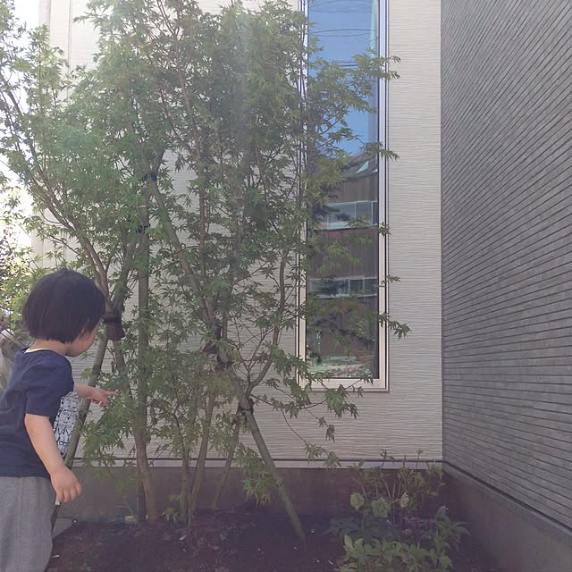 Ayakoさんの実例写真
