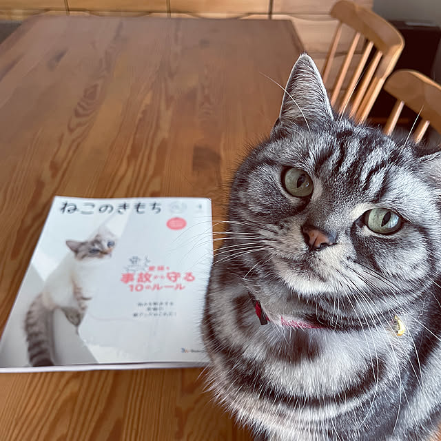 hiyupan88さんの実例写真