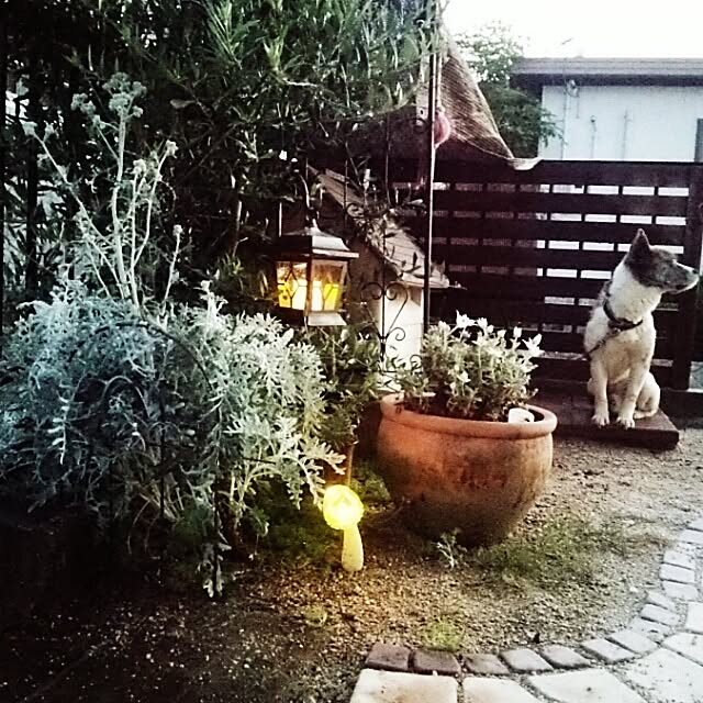 miiさんの実例写真