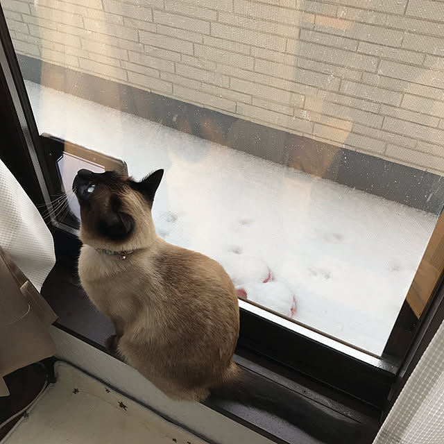 shi622さんの実例写真