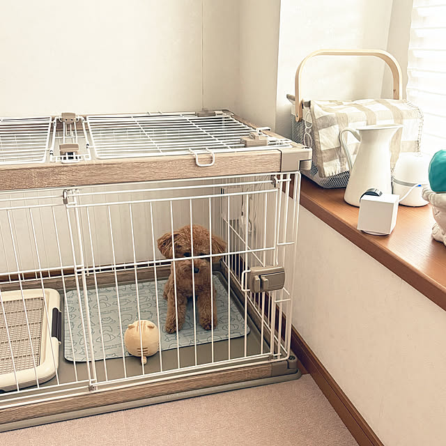 kawauso15さんの部屋