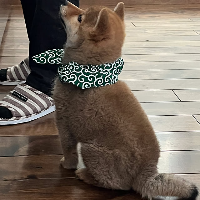 kurin_さんの実例写真