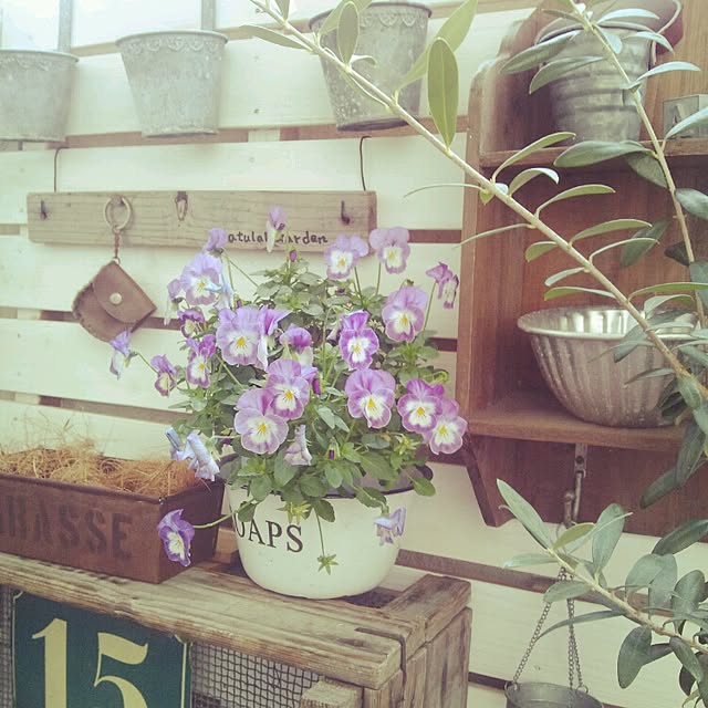 m.hinaさんの実例写真