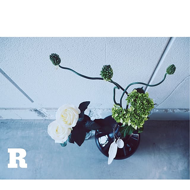 raujikaさんの実例写真