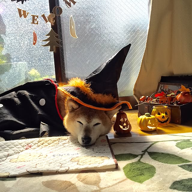 htm.さんの実例写真