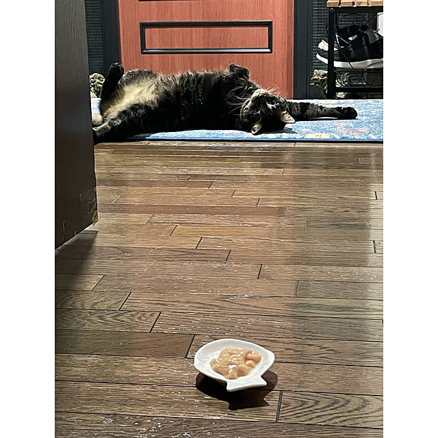 momocchiさんの実例写真