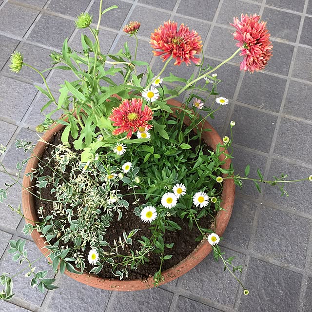 Sanaさんの実例写真