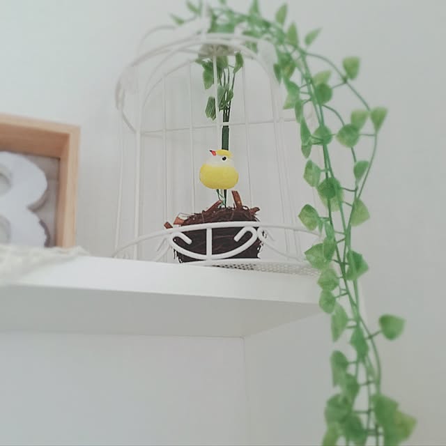 kiraraさんの実例写真