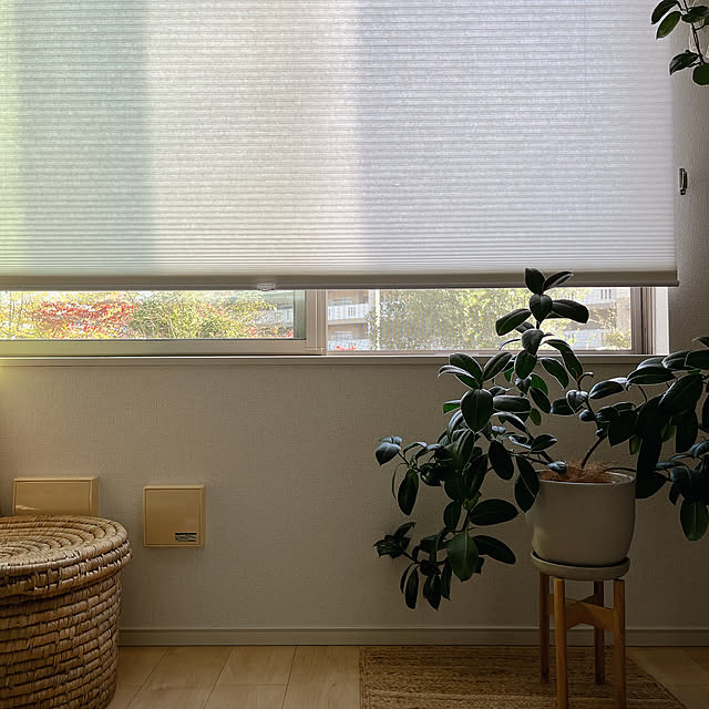 moon.mさんの実例写真